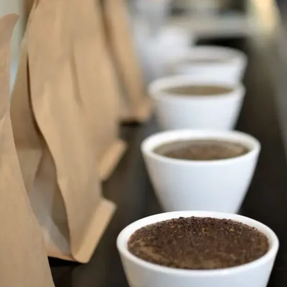 Cupping - degustace kávy 1