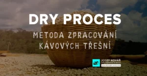 Washed process - Promytý proces zpracování kávy 4