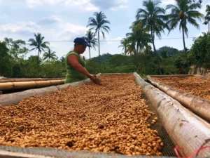 Honey process