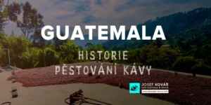 pěstování kávy v guatemale